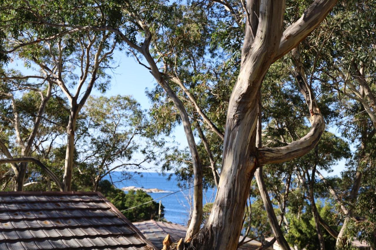 Bicheno By The Bay Hotel Exterior foto